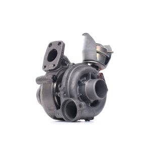 Restauruota turbina Peugeot | Volvo | Mazda | Ford | Citroen | BMW 1.6 HDI 80kW | 753420